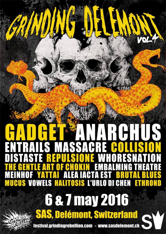 12779199_905980729523537_6691413096870210497_o